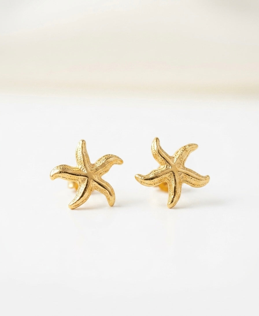 Shoreline Starfi